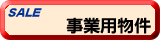 ���Ɨp����