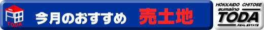 ������Ќ˓c �������ߔ���y�n